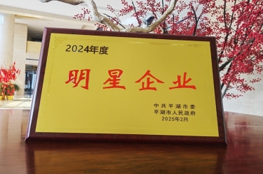 新春新景新氣象 | 景興紙業(yè)在平湖三干大會上喜摘榮譽！